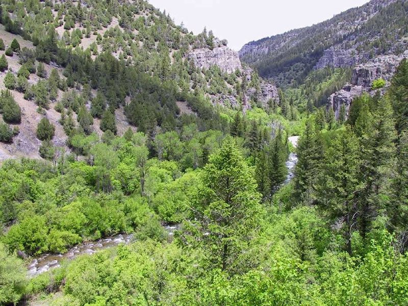 Mulebridge Campground