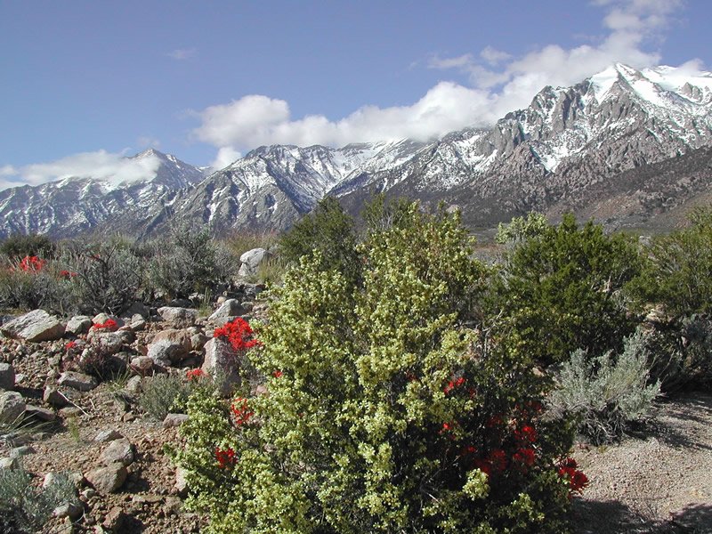Bitterbrush Campground