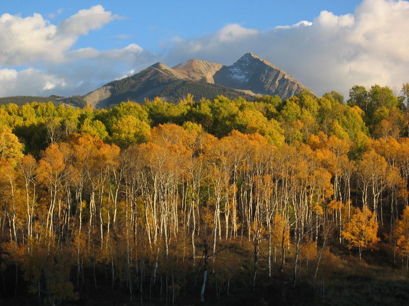 Feather Falls Trailhead Campground