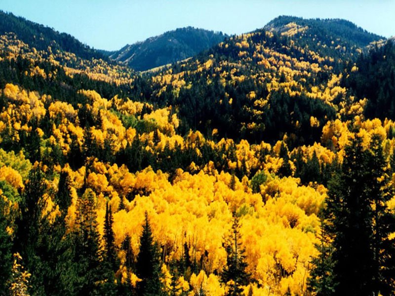 Birch Creek Campground