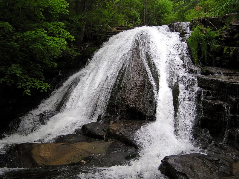 Beartree Recreation Area