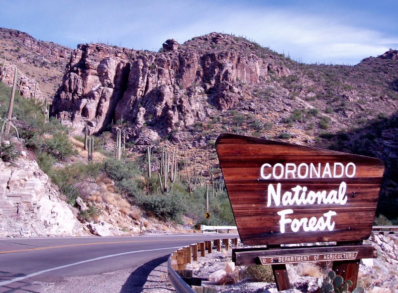 Sycamore Campground