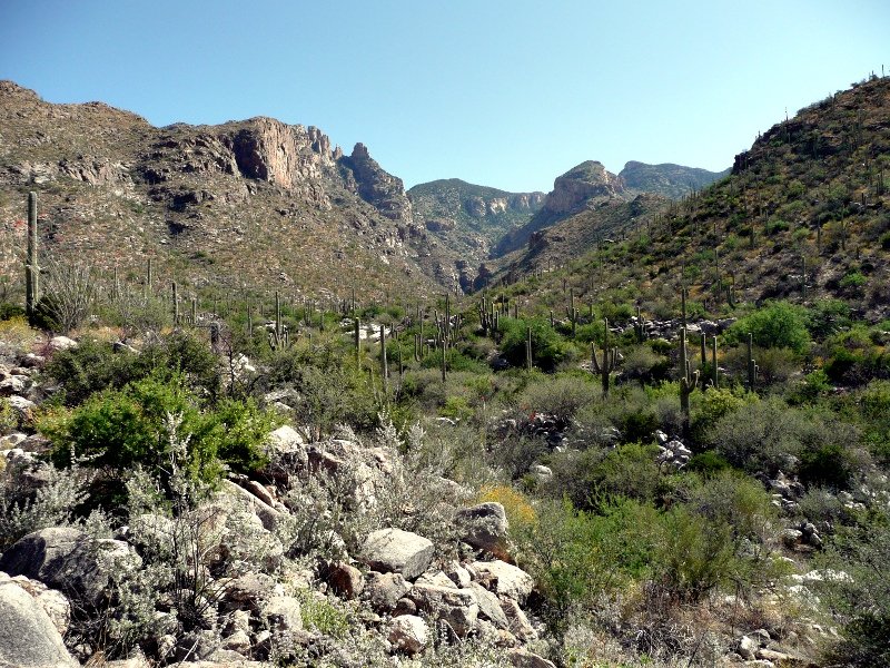 Sycamore Campground