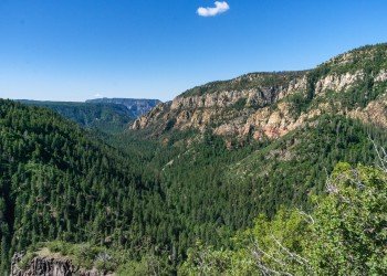 Canyon Vista Campground