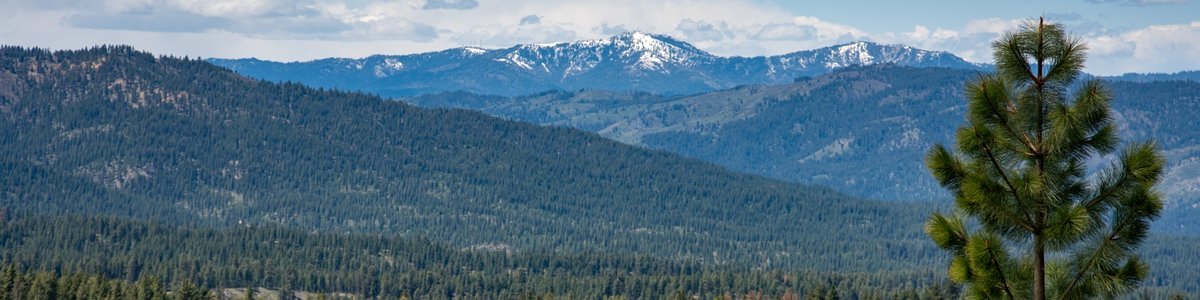 Canyon Creek Campground