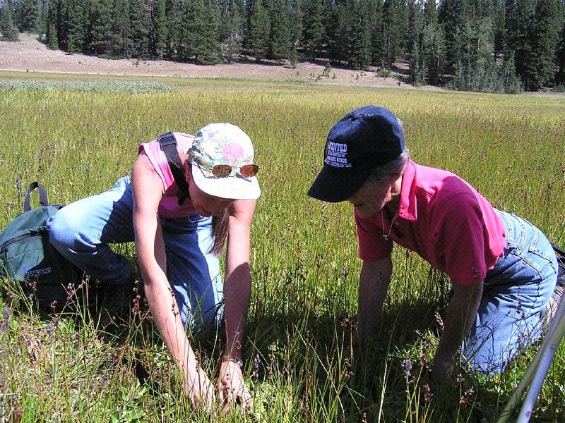West Branch Campground