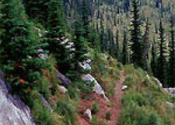 Table Meadows Campground
