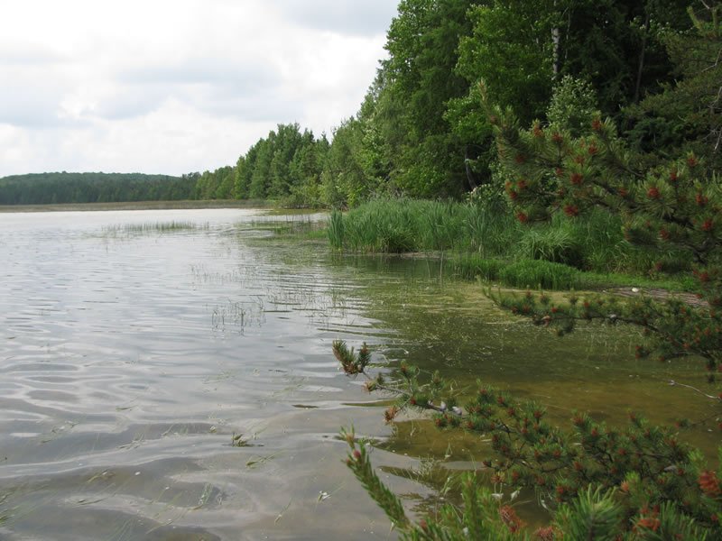 Deep Lake Campground