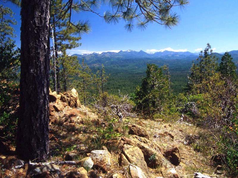 USDA Forest Service