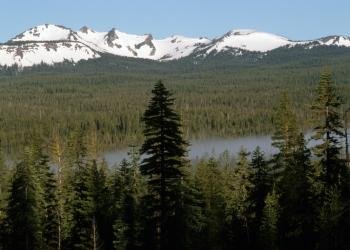 USDA Forest Service
