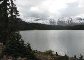 USDA Forest Service