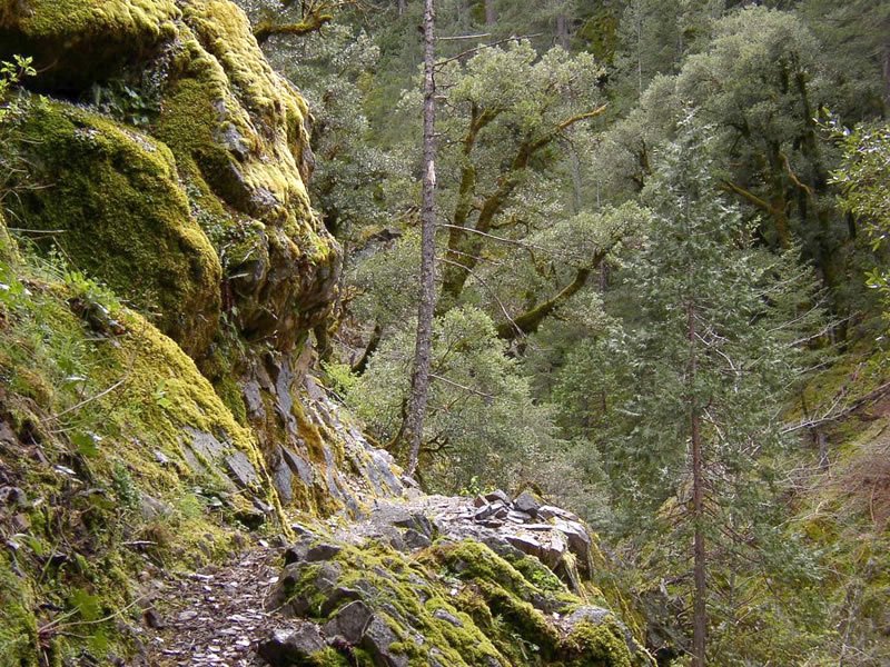 Little North Fork Campground