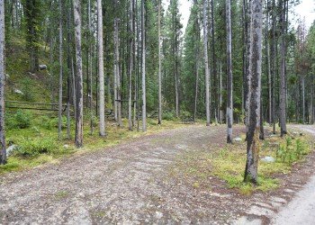 USDA Forest Service
