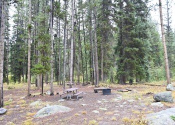USDA Forest Service
