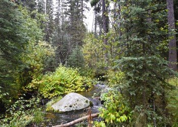 USDA Forest Service