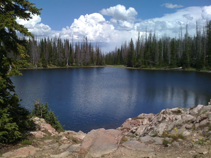 East Fork Campground