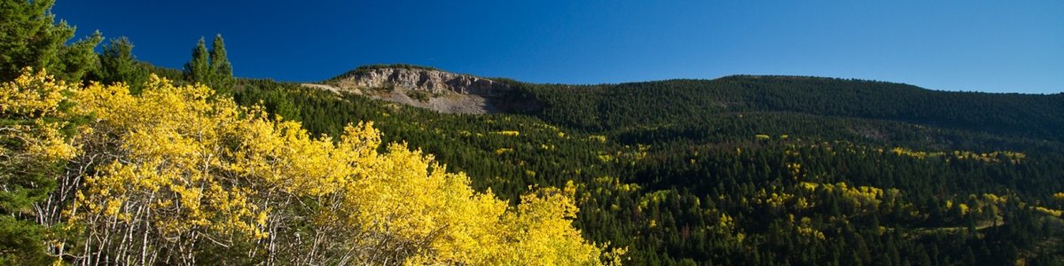 USDA Forest Service