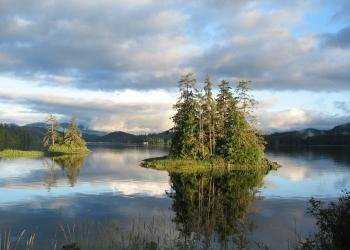 USDA Forest Service