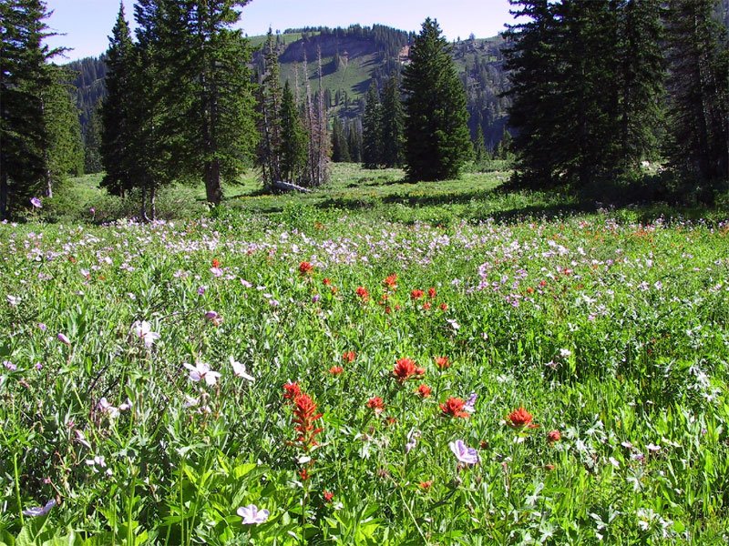 Deep Creek Campground