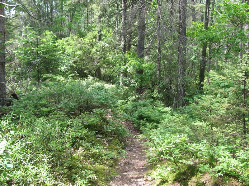 Pine Lake Recreation Area