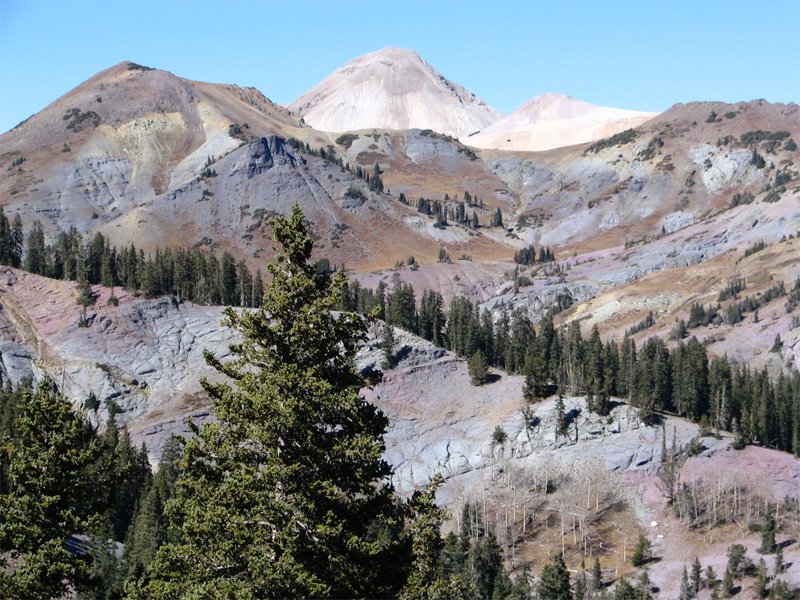 USDA Forest Service