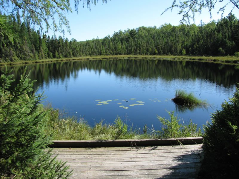Unknown Pond Tentsite