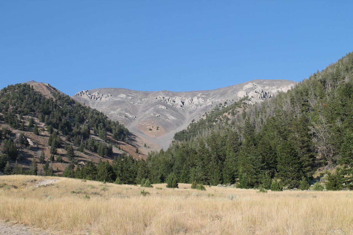 USDA Forest Service