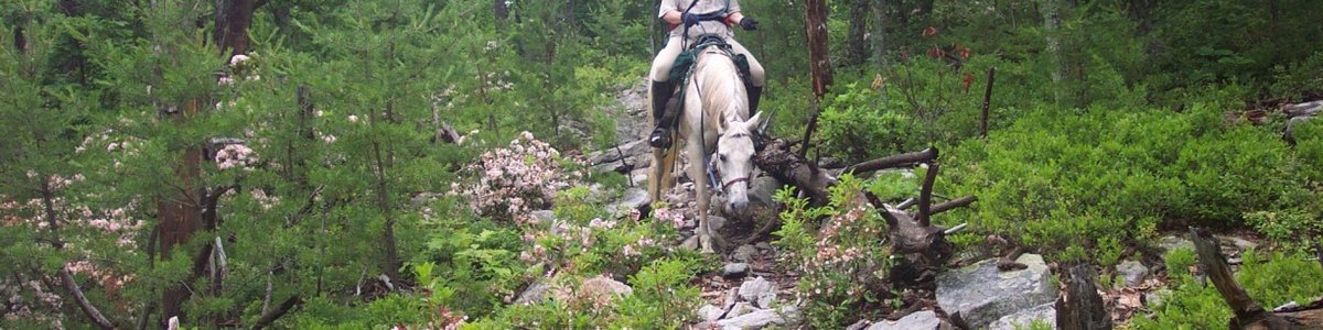 USDA Forest Service