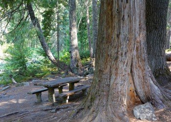 White River Falls Campground