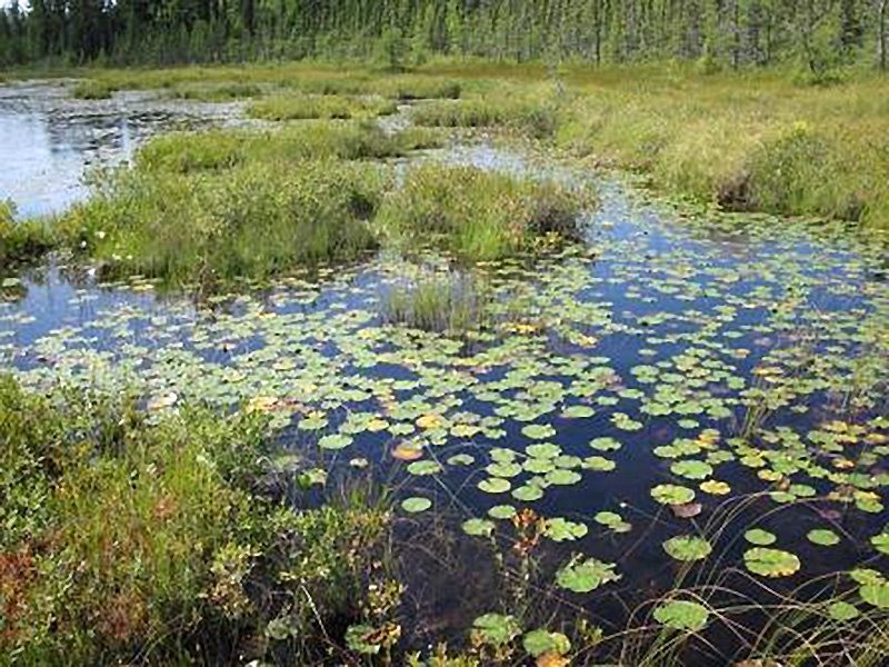 Agassa Lake