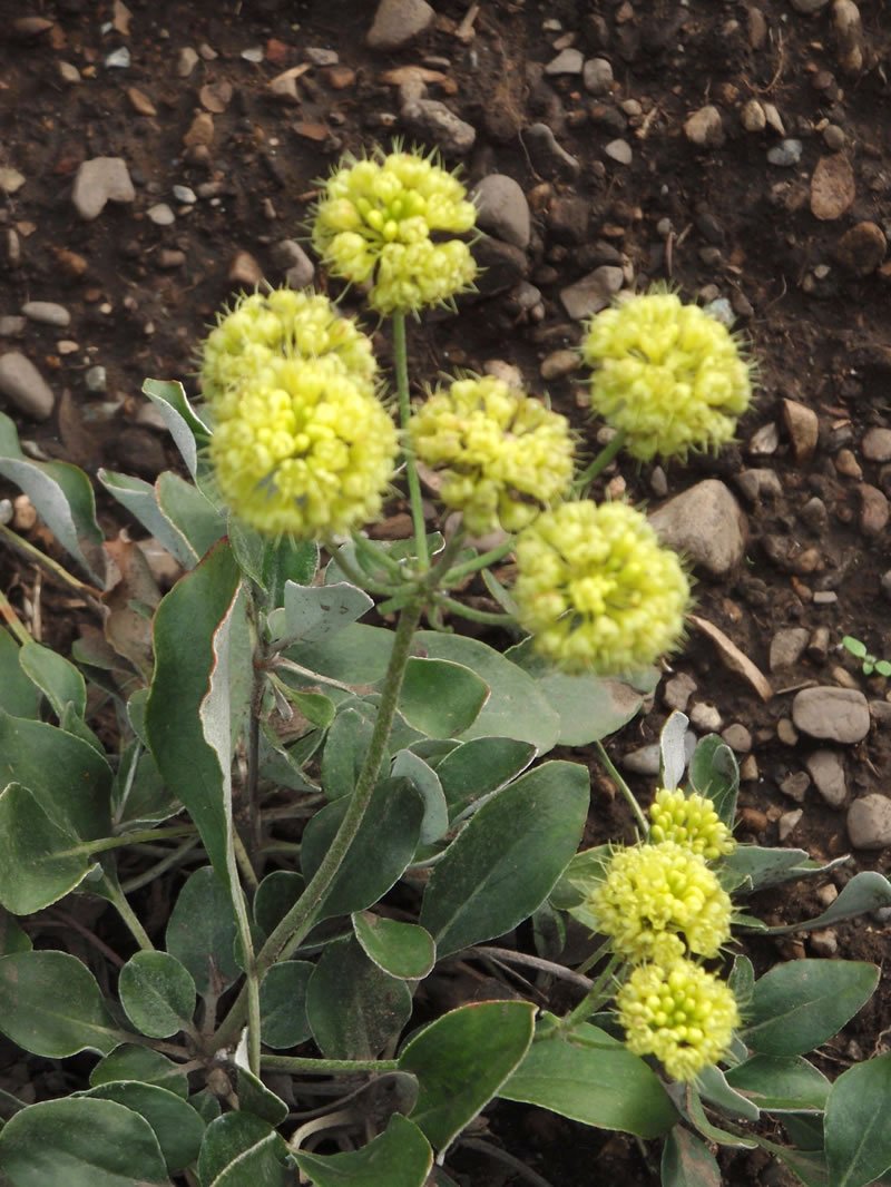 Navigation Campground