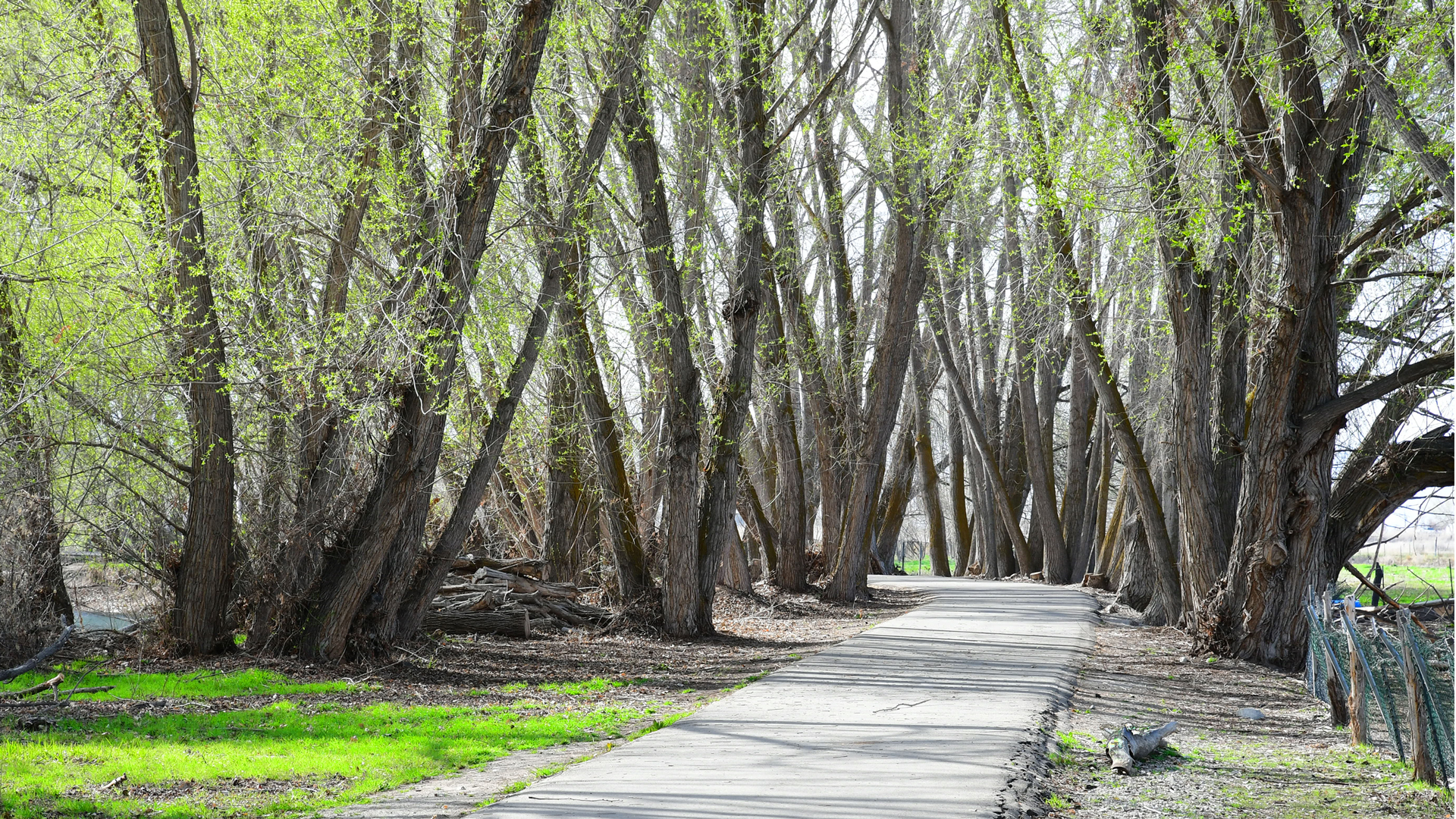 Utah Lake State Park