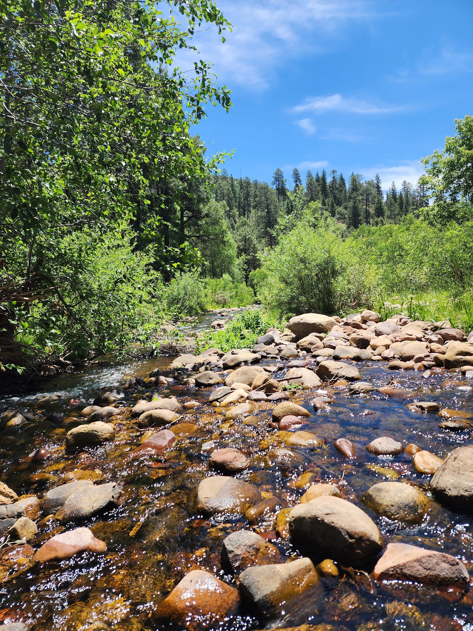 Valentine Ridge Dispersed Camping Area