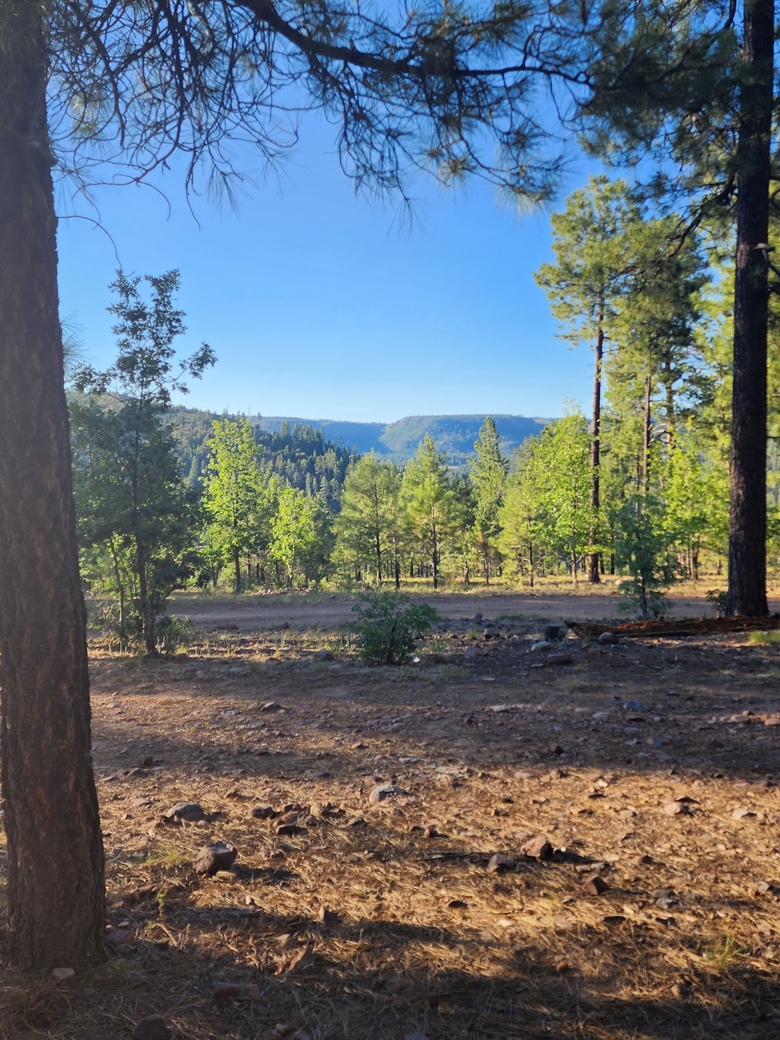 Valentine Ridge Dispersed Camping Area