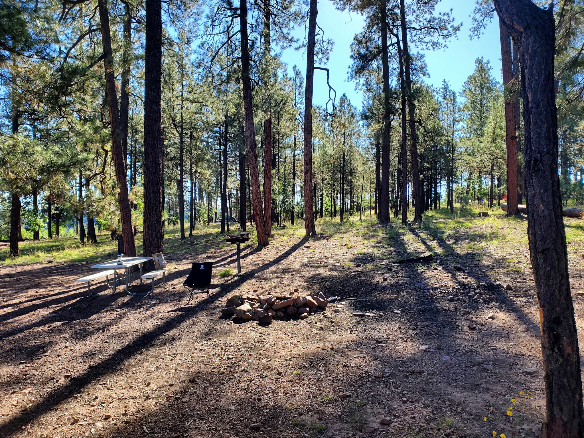 Valentine Ridge Dispersed Camping Area