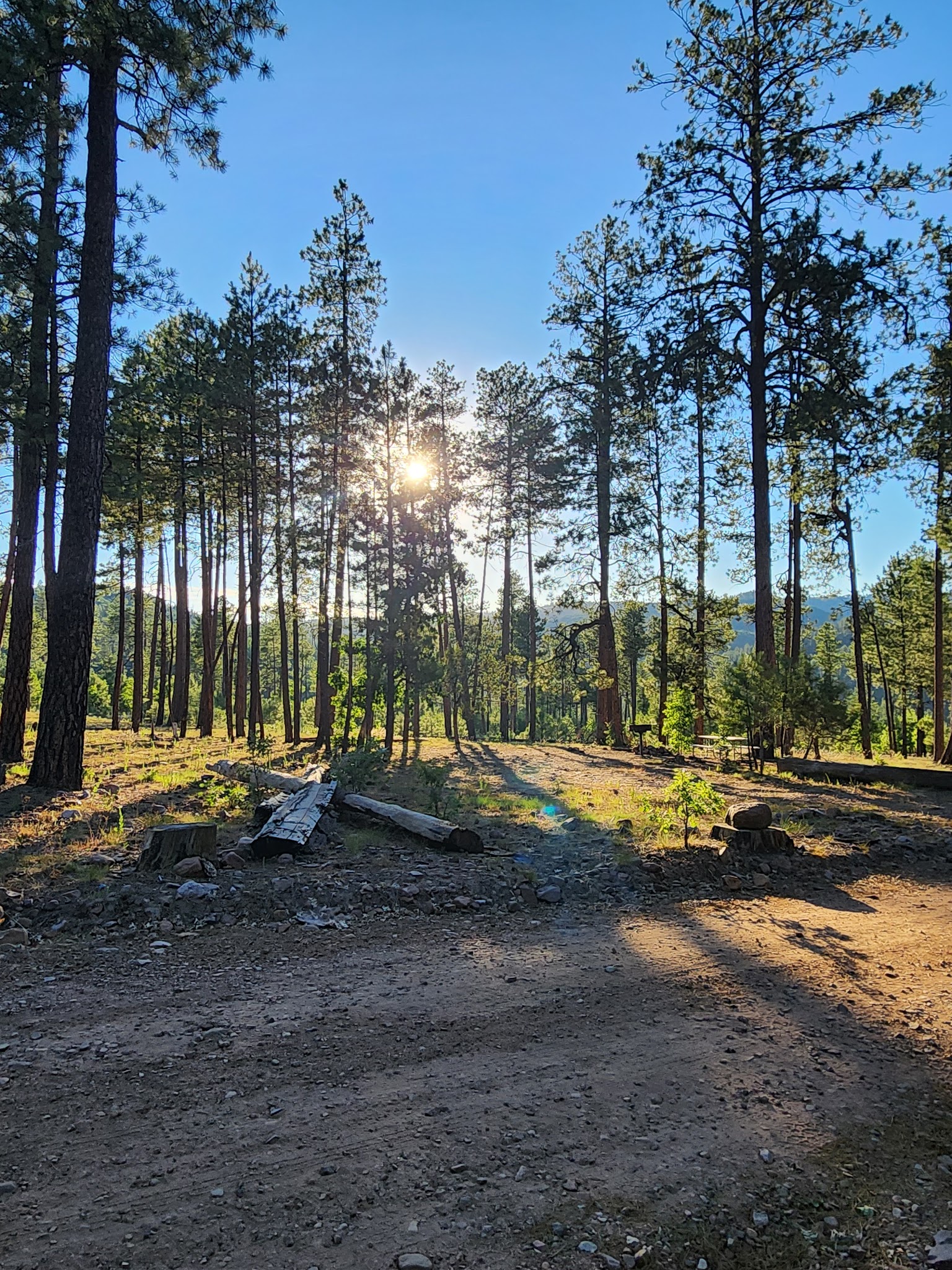 Valentine Ridge Dispersed Camping Area