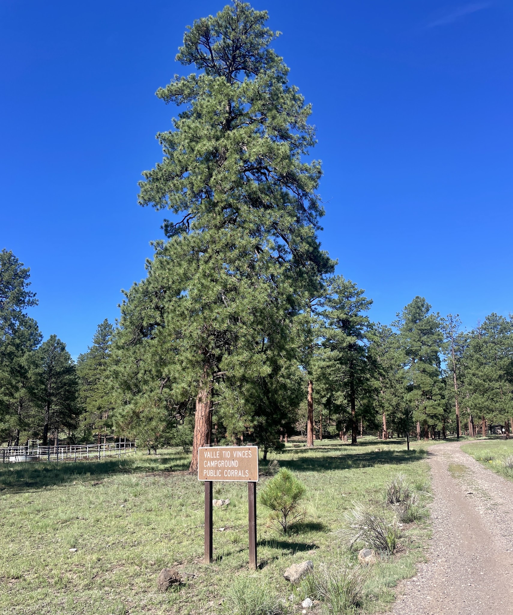 Valle Tio Vinces Campground