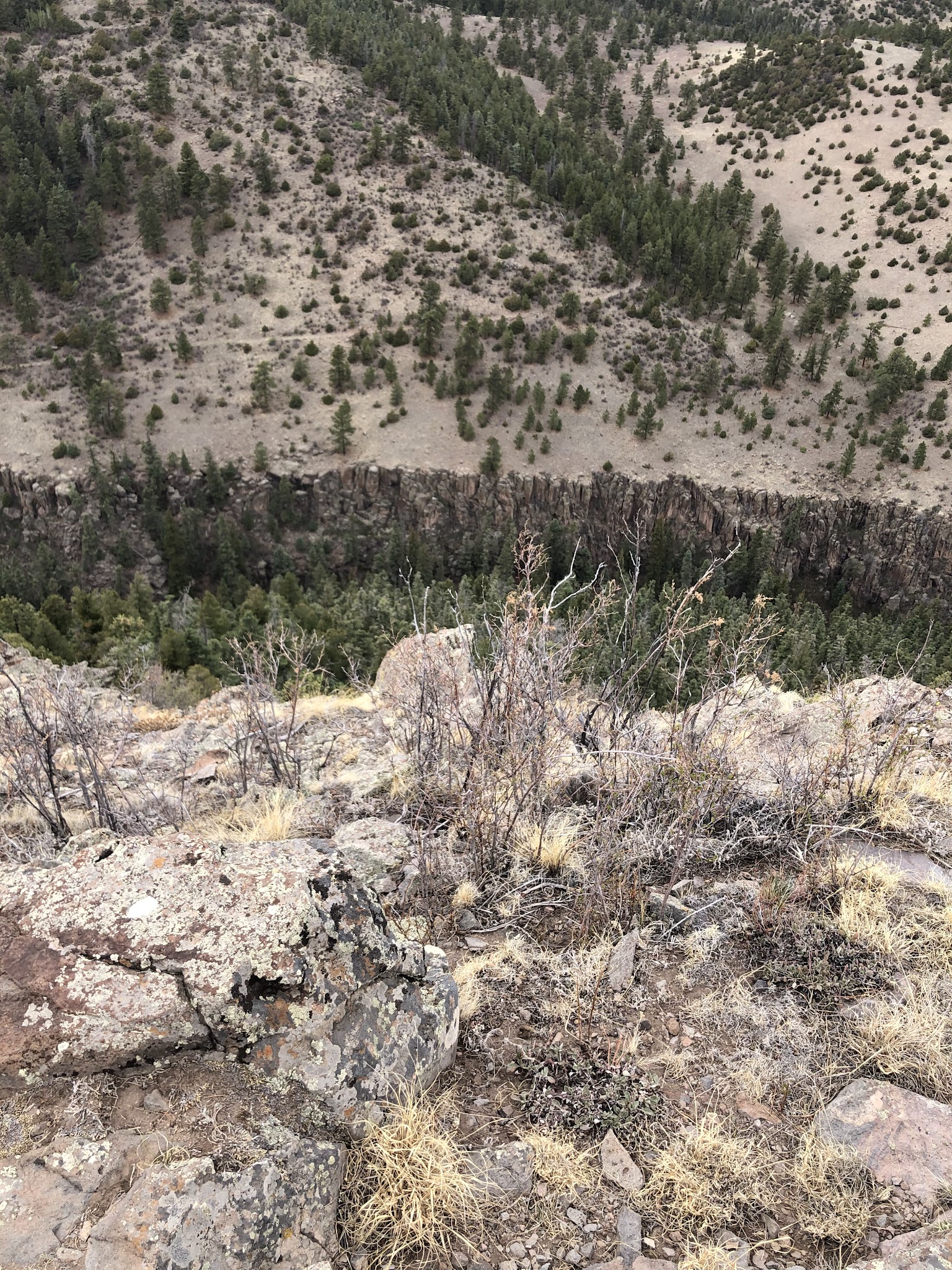 Rock Creek Campground