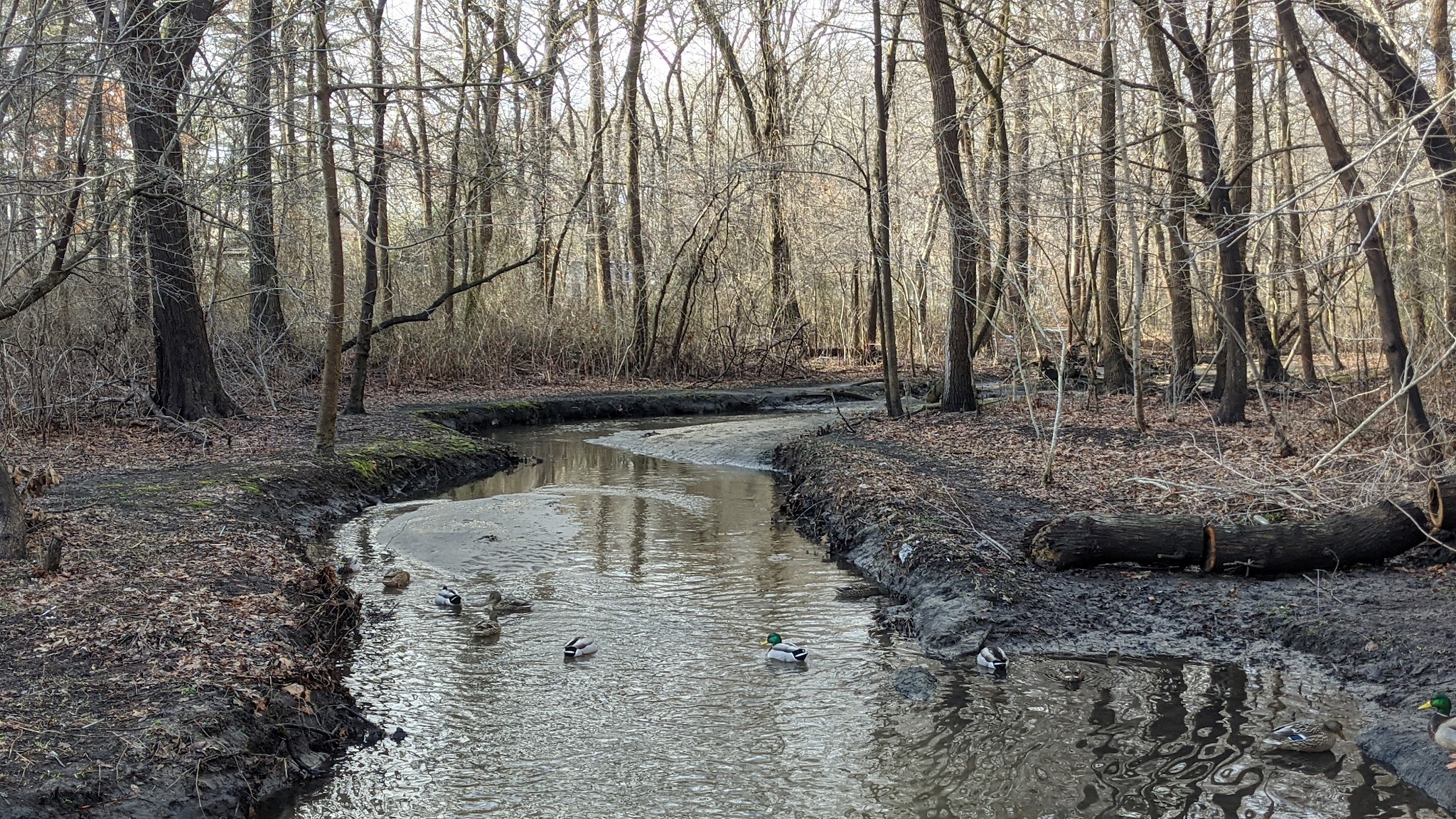Valley Stream State Park