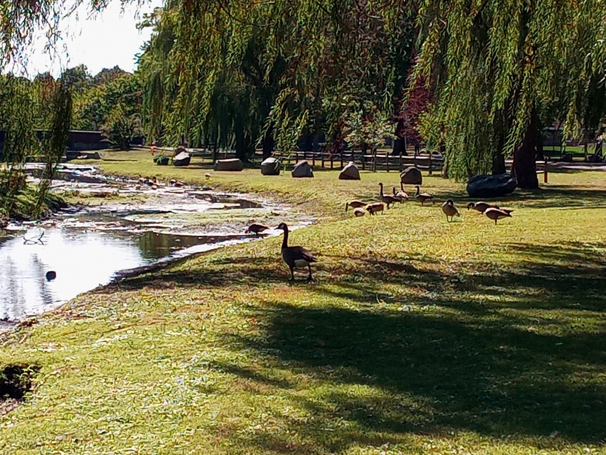Valley Stream State Park
