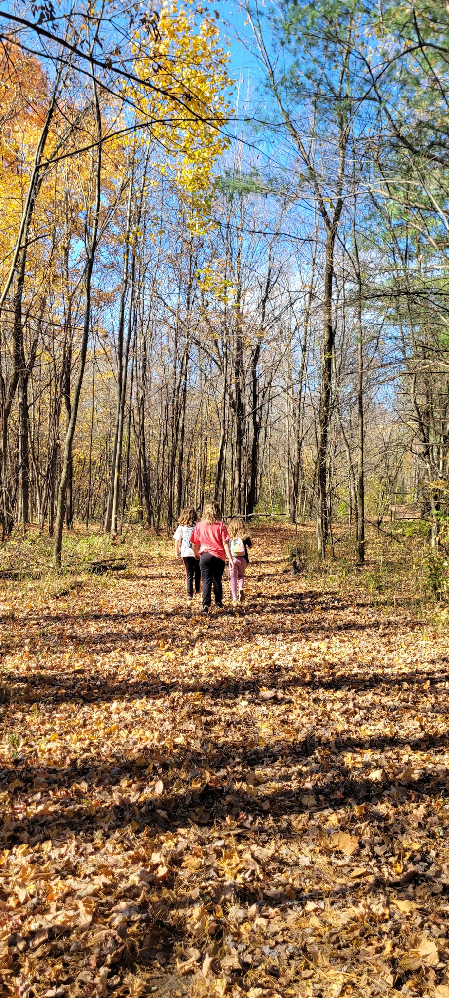 Van Buren Campground