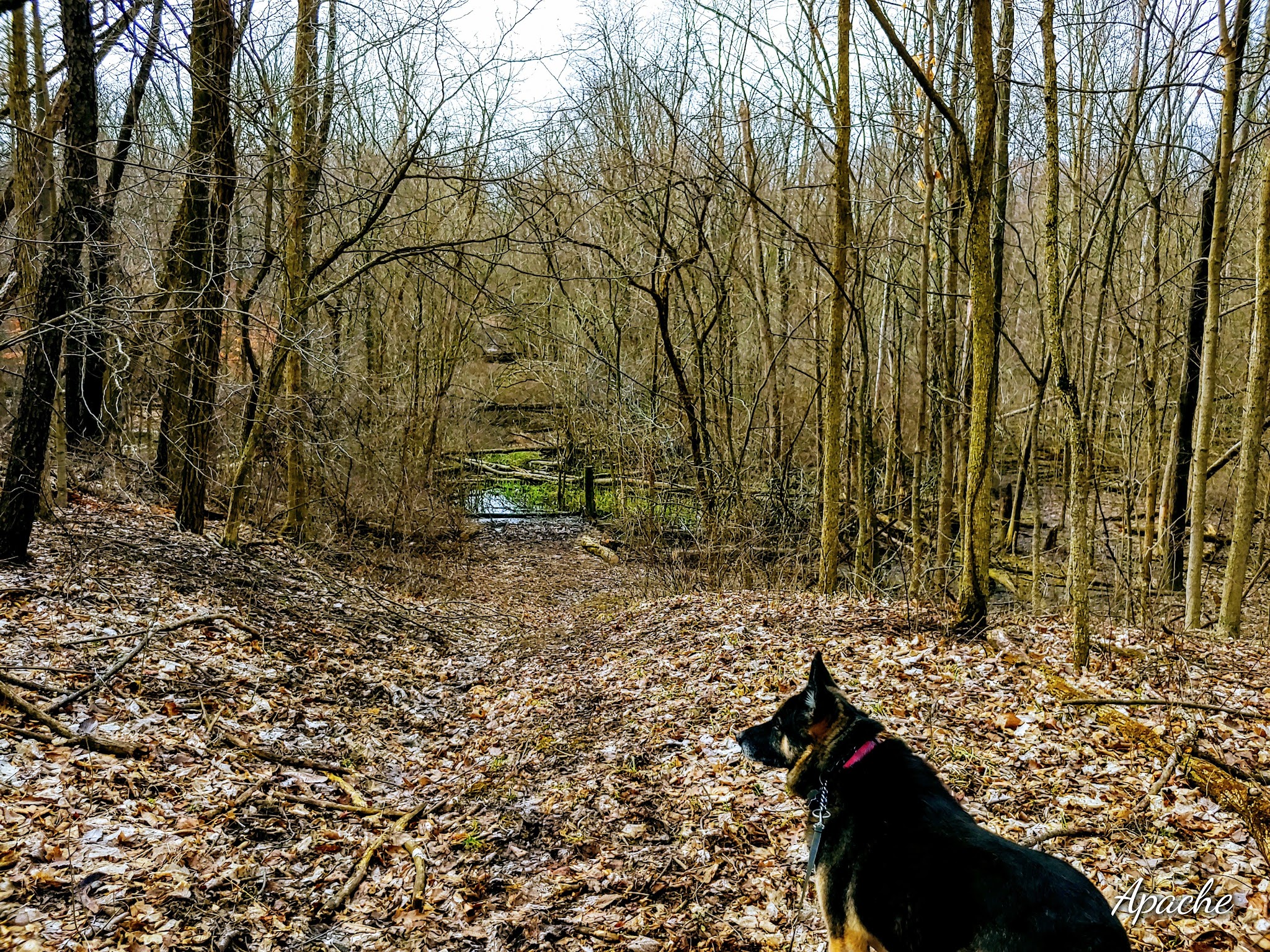 Van Buren Campground