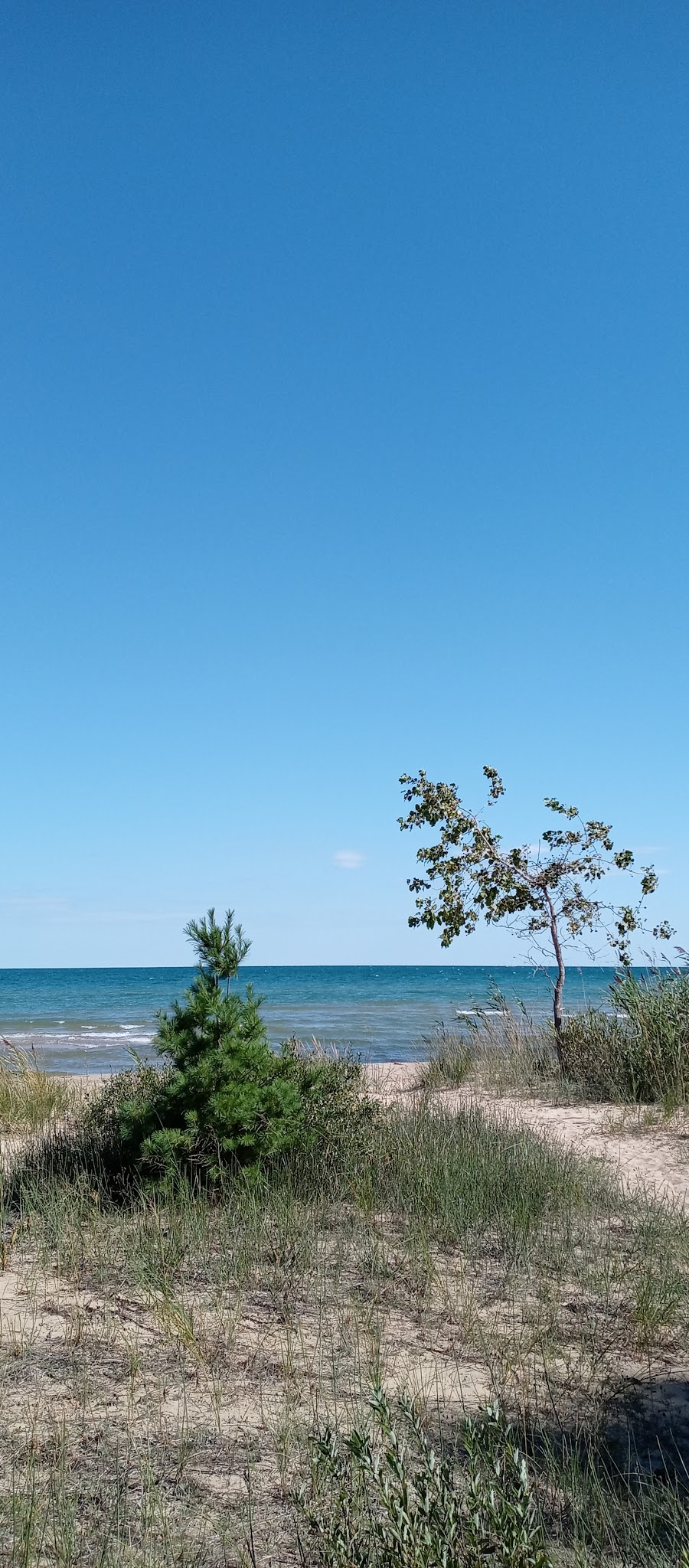 Van Etten Lake State Forest Campground