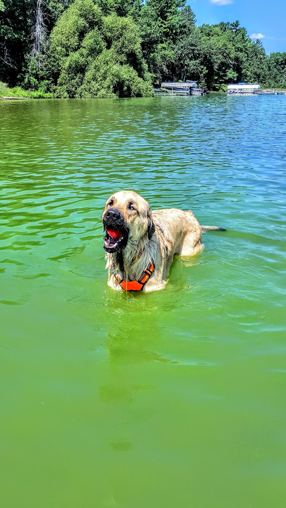 Van Etten Lake State Forest Campground