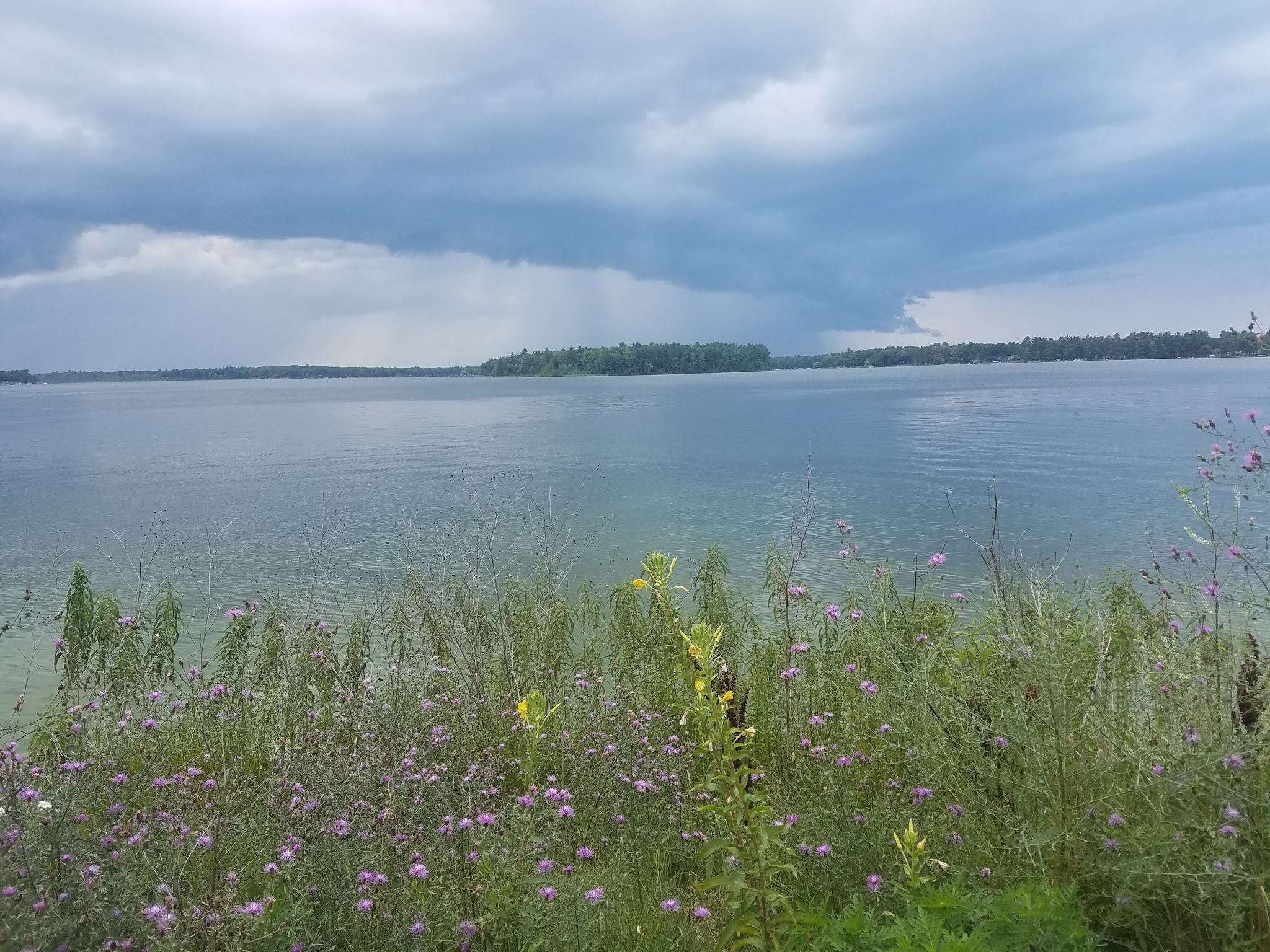 Van Etten Lake State Forest Campground