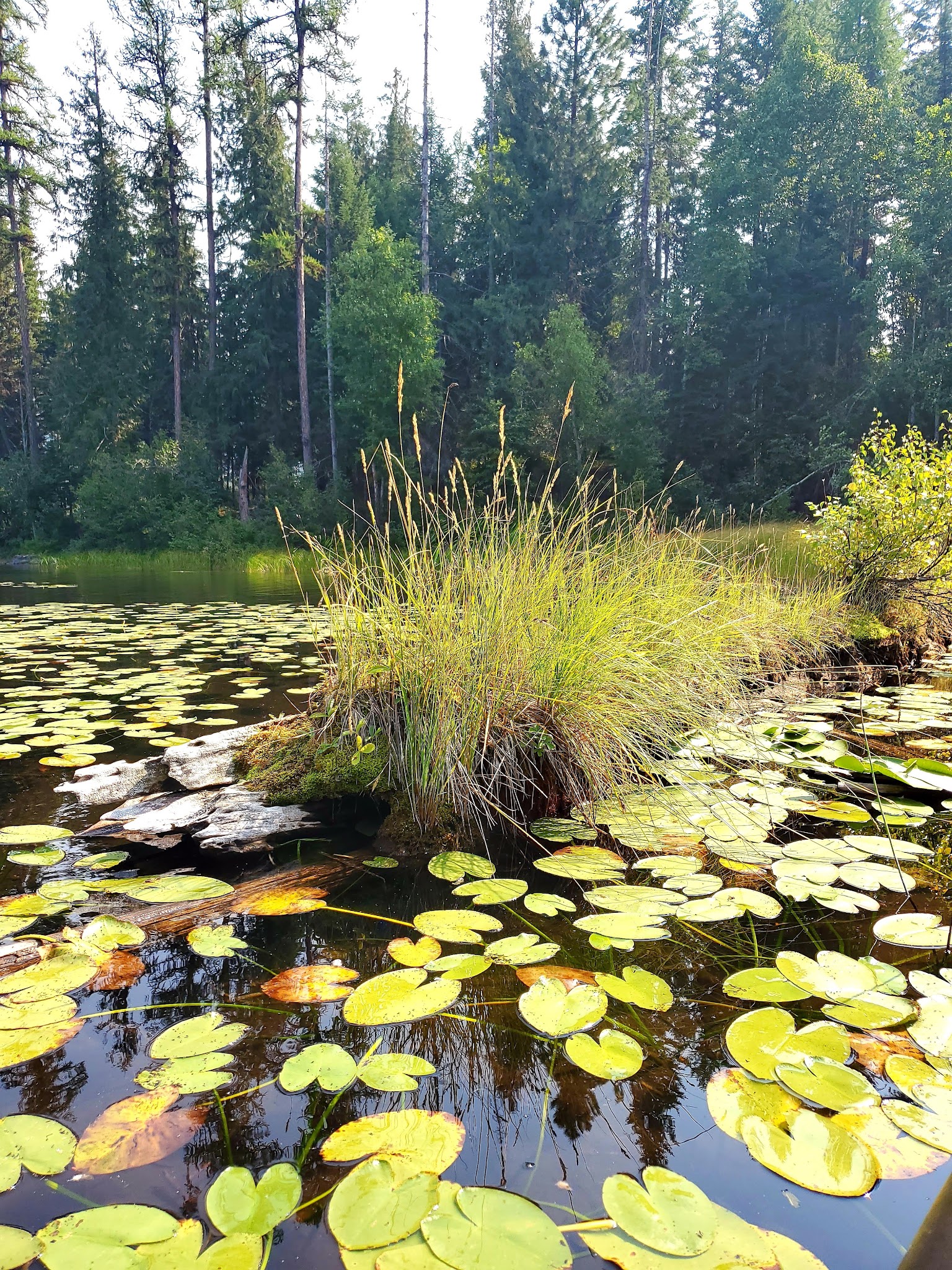 Van Lake Campground And Day Use