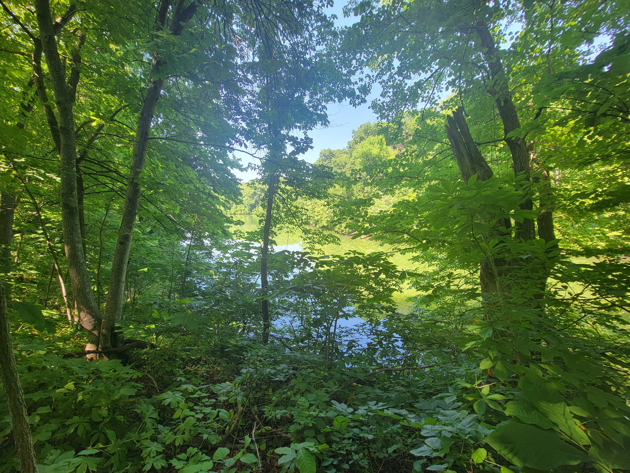 Annie And Abel Van Meter State Park Campground