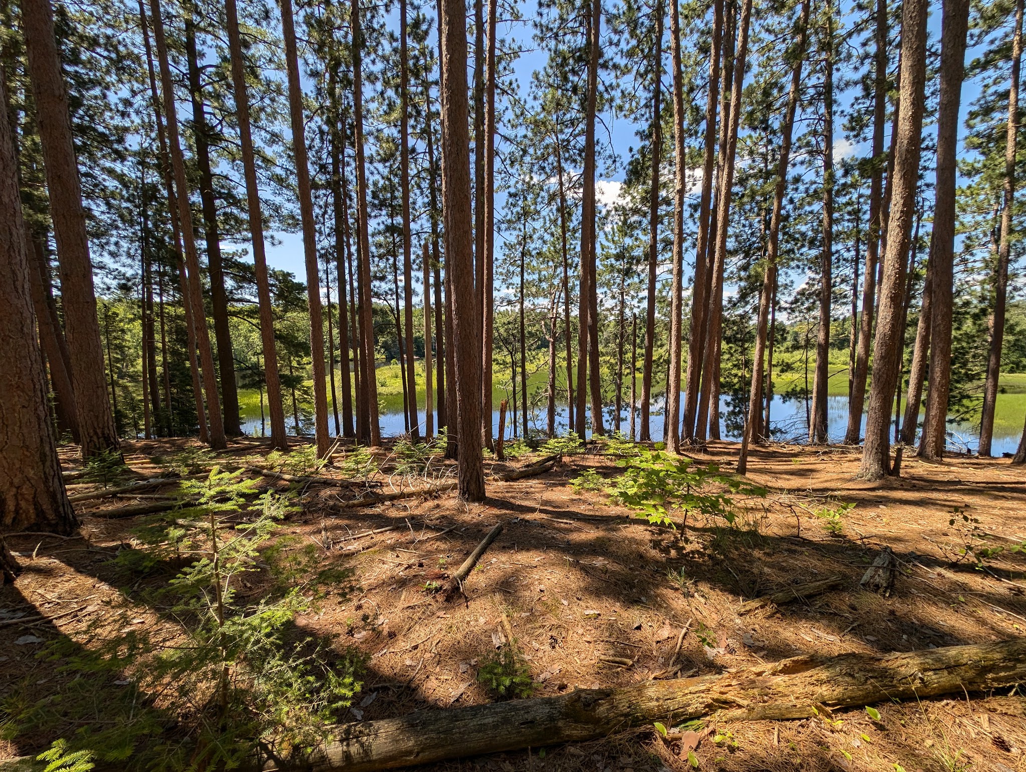 Van Riper Campground