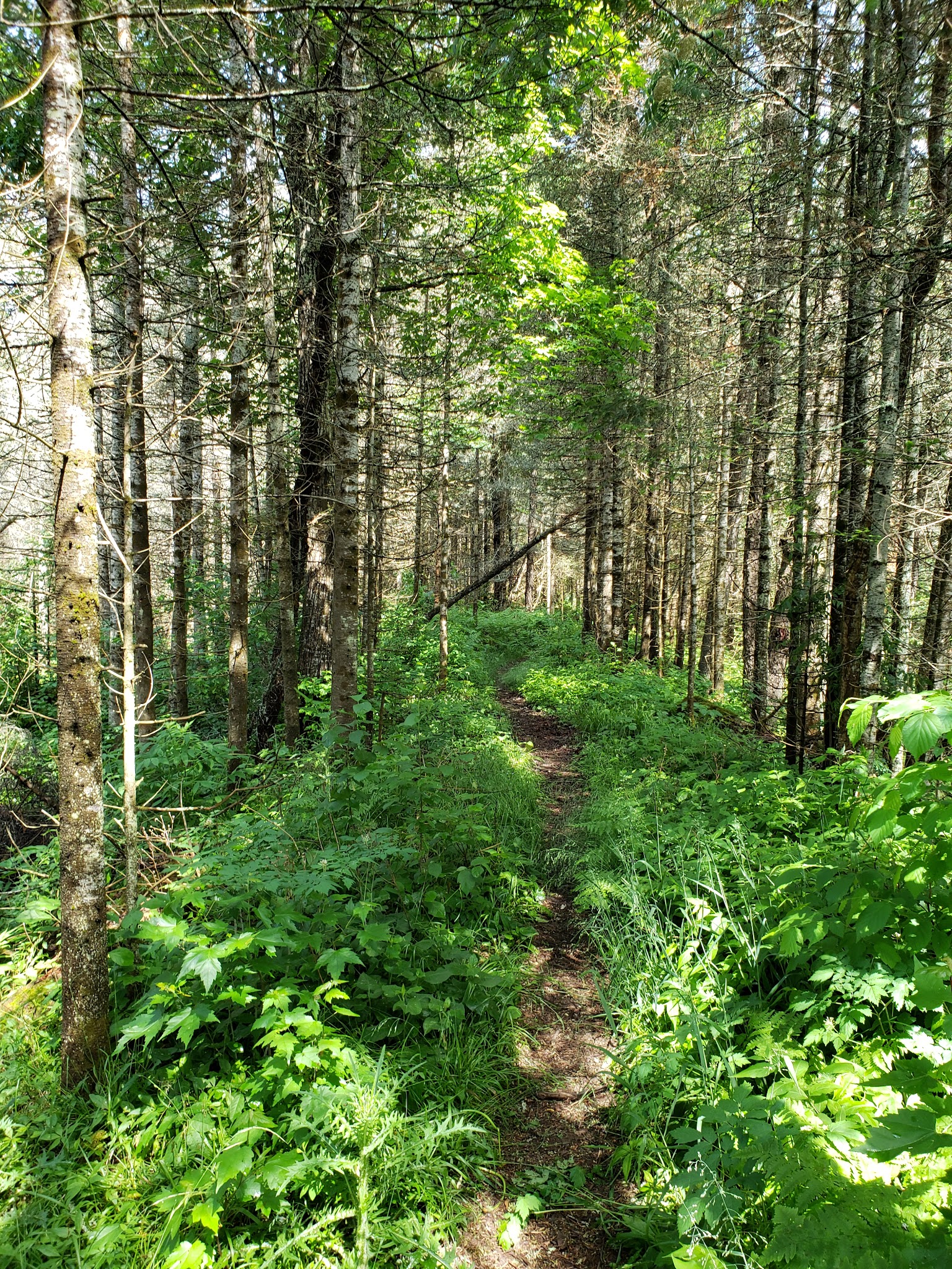 Van Riper Campground