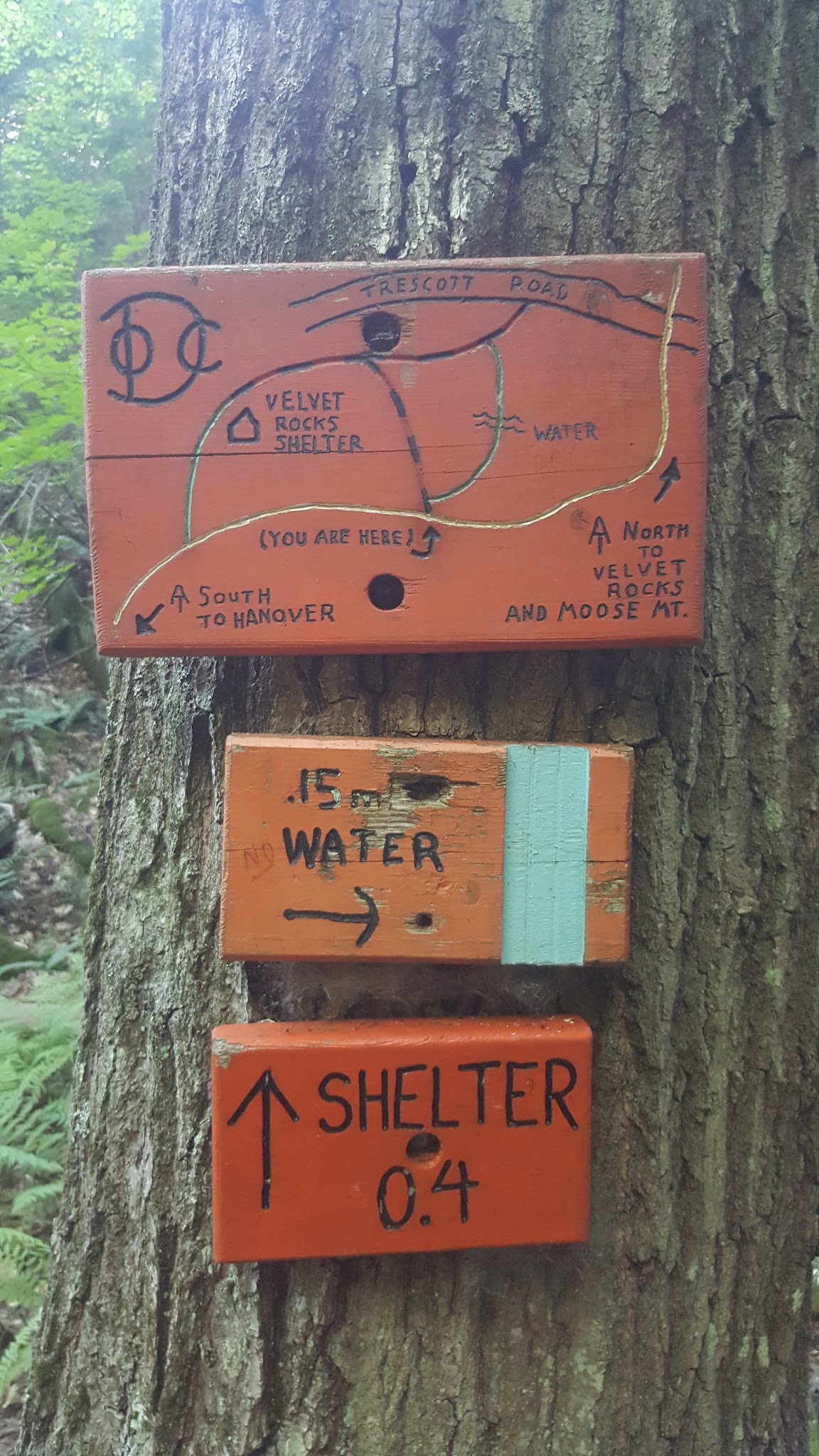 Velvet Rocks Shelter